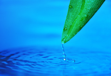 Similar image 378024