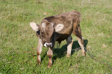 Similar image 378066