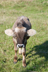 Similar image 378073