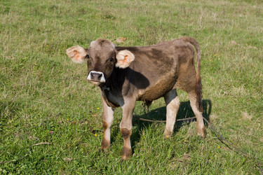 Similar image 378075