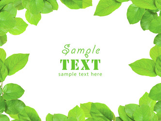 Similar image 378082