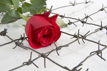 Similar image 378130