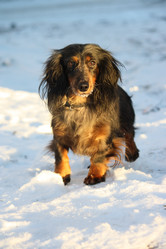 Similar image 378137