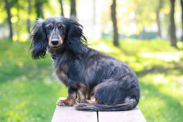 Similar image 378142