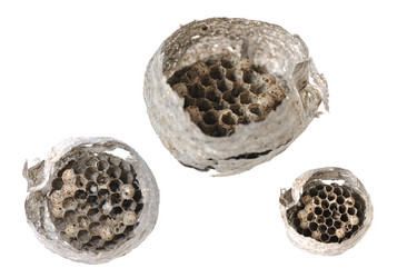 Similar image 378182