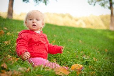 Similar image 378185