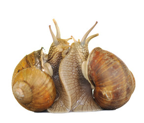 Similar image 378212