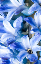 Similar image 378321