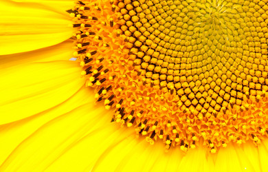 Similar image 378331