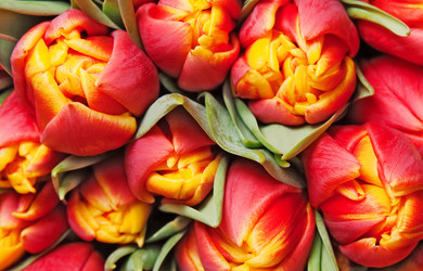 Similar image 378340