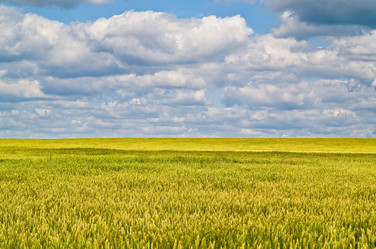 Similar image 378357