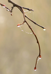 Similar image 378499