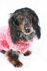 Similar image 378511