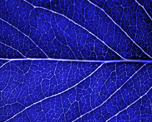 Similar image 378516