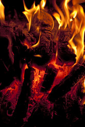 Similar image 378528