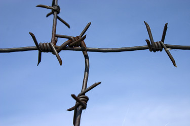 Similar image 378664