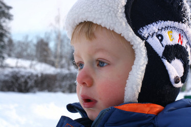 Similar image 378687