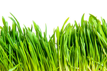 Similar image 378701