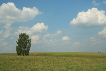 Similar image 378730