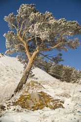 Similar image 378768