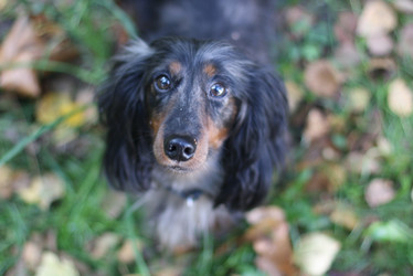 Similar image 378770