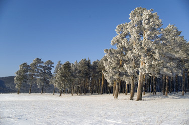 Similar image 378772