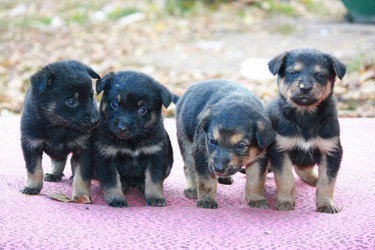 Similar image 378779