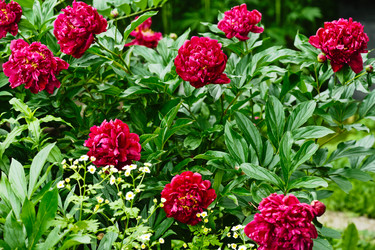 Similar image 378803