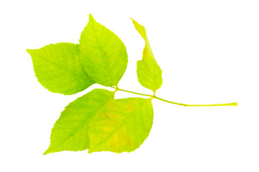 Similar image 378906