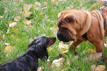 Similar image 378946