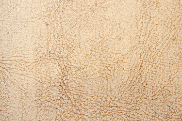 Similar image 379041