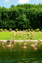 Similar image 379092