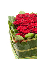 Similar image 379112