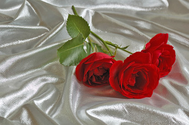 Similar image 379138