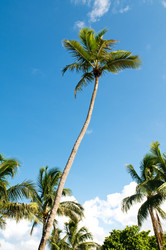 Similar image 379166