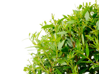 Similar image 379224