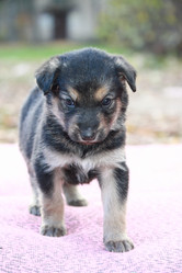 Similar image 379228