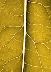 Similar image 379233