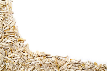 Similar image 379238