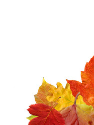 Similar image 379255