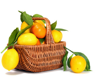 Similar image 379267