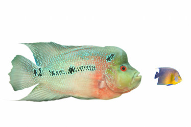 Similar image 379271