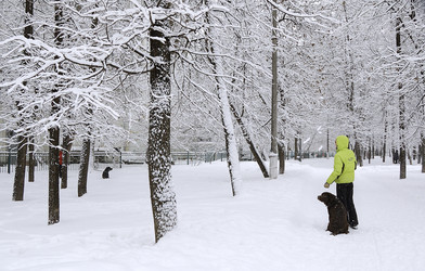 Similar image 379272