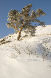 Similar image 379315