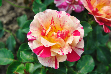 Similar image 379331