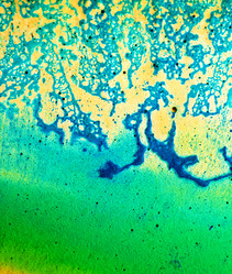 Similar image 379334