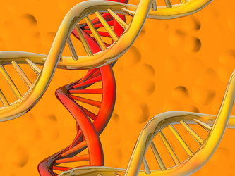 Similar image 379337