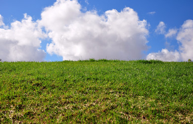 Similar image 379367