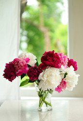 Similar image 379368