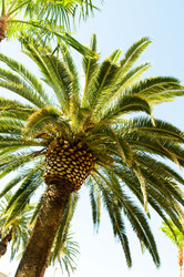 Similar image 379417